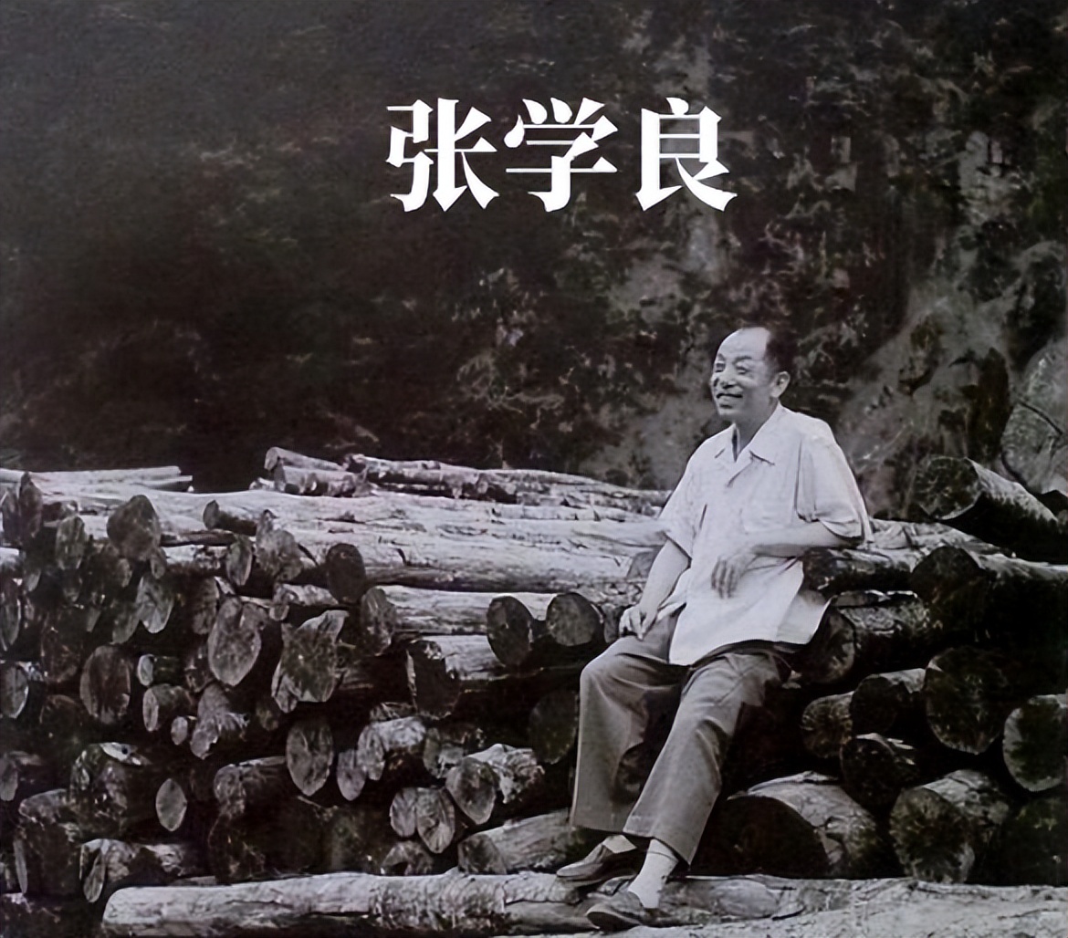 邋遢中的智者：张学良的形象魅力究竟如何？