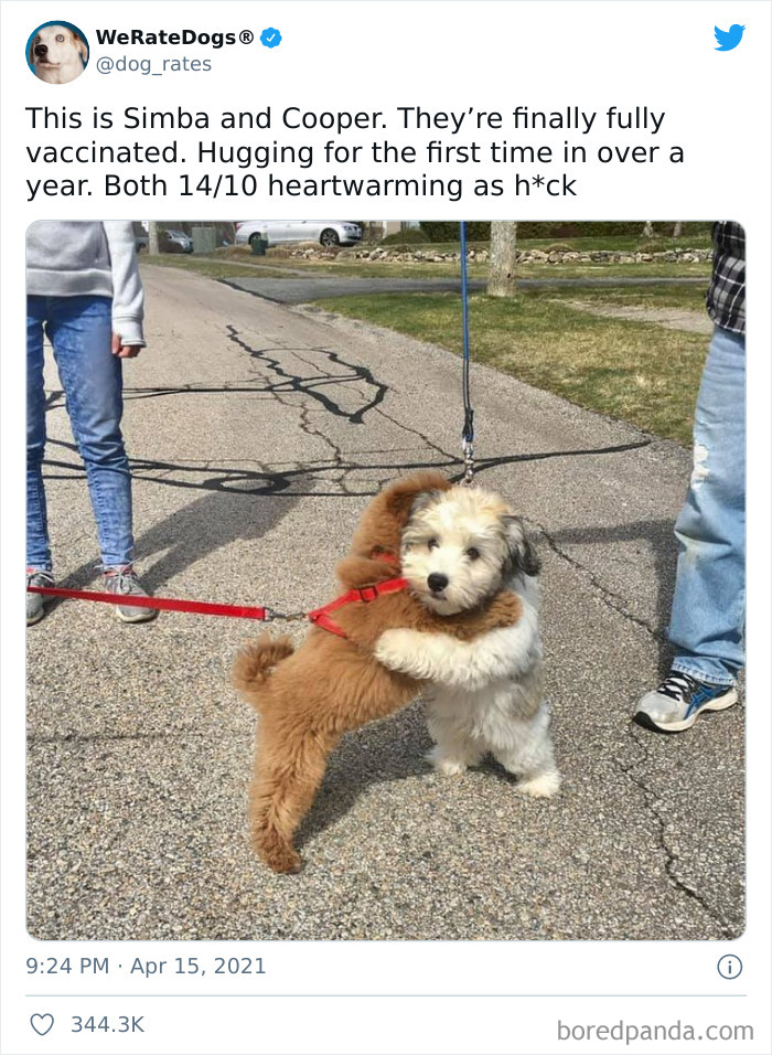 缇庡浗灏忓摜鐐硅瘎瑙嗛,缇庡浗灏忓摜鐐硅瘎