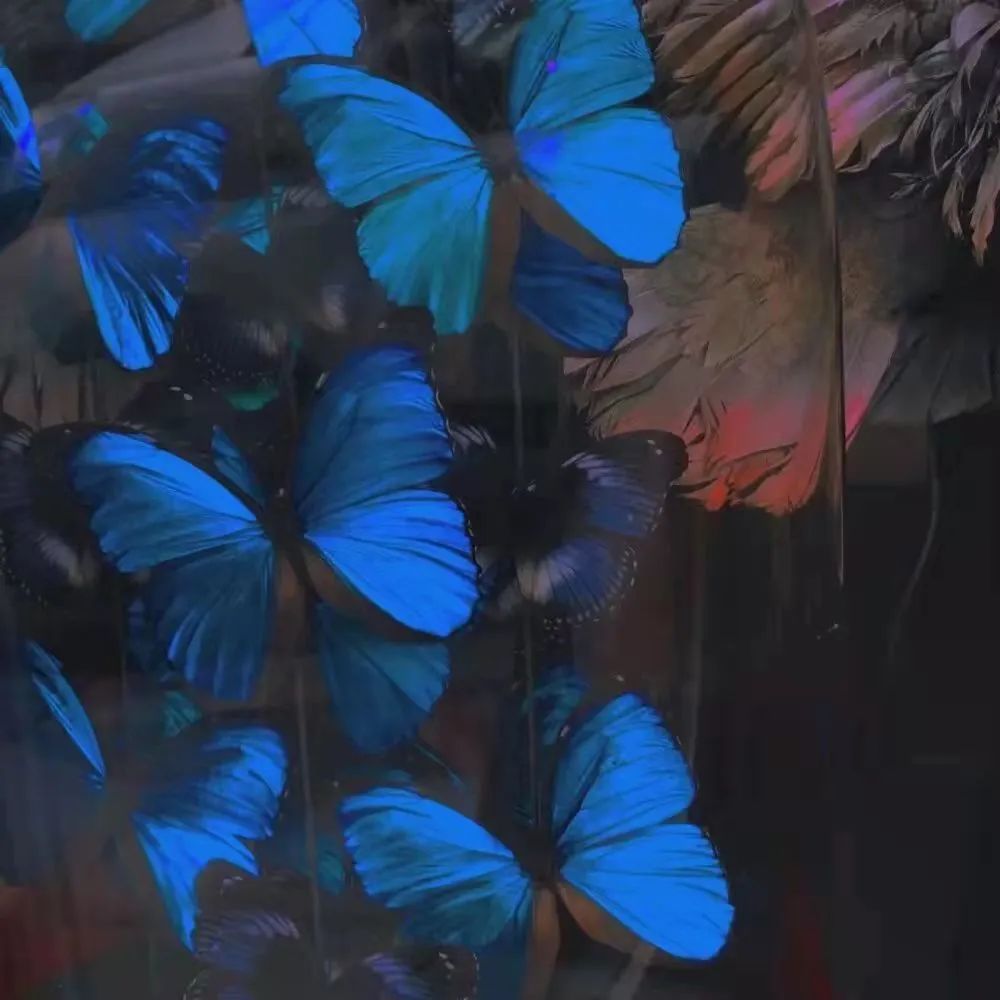 前任终于将我微信删了,被前任删除微信