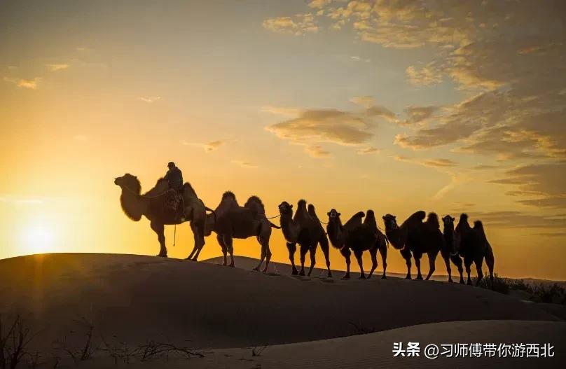 醉美胡杨深度游,额济纳胡杨林旅游攻略