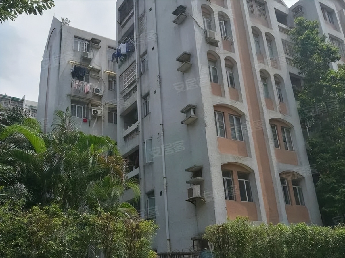 海关小学变华康!160个学生,160张课表?