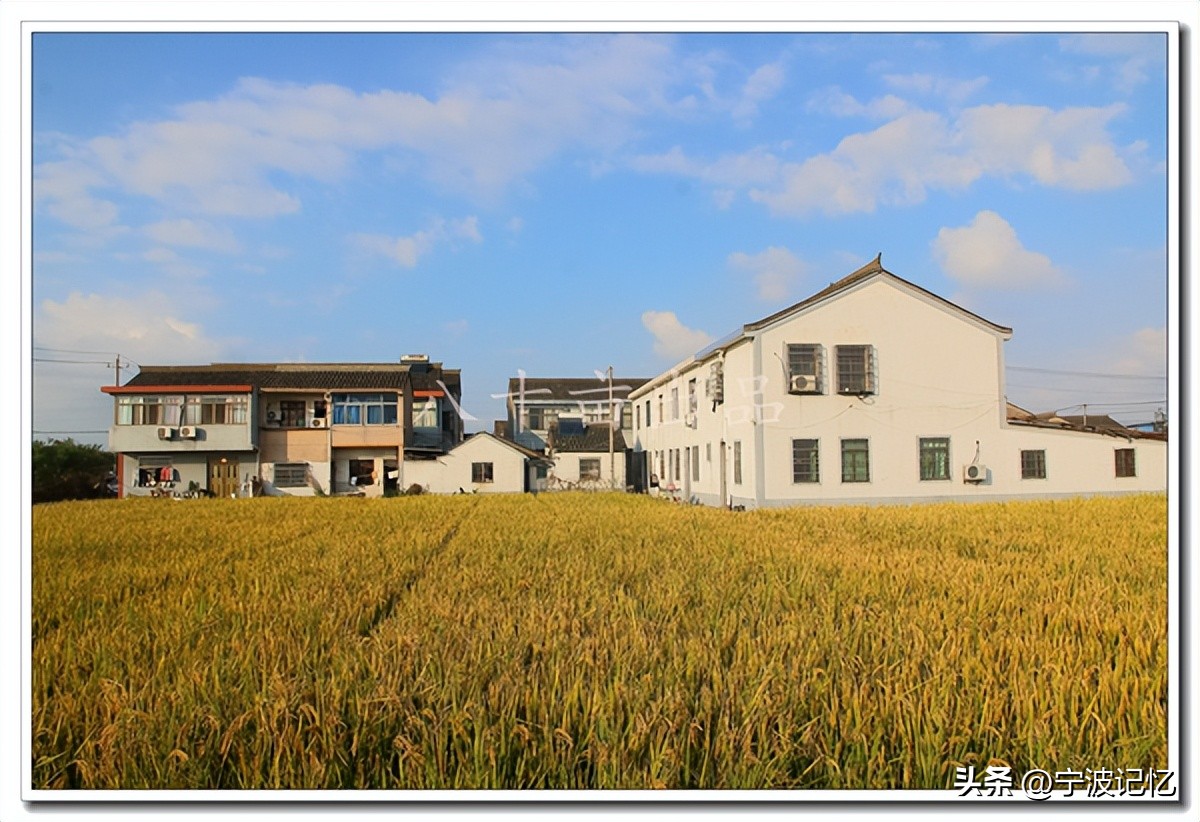 石碶街道各行政村,海曙区石碶村