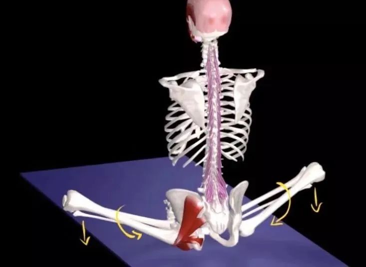 练瑜伽时弯腰时背不平是怎么回事,练瑜伽蹲着时脚掌放不平