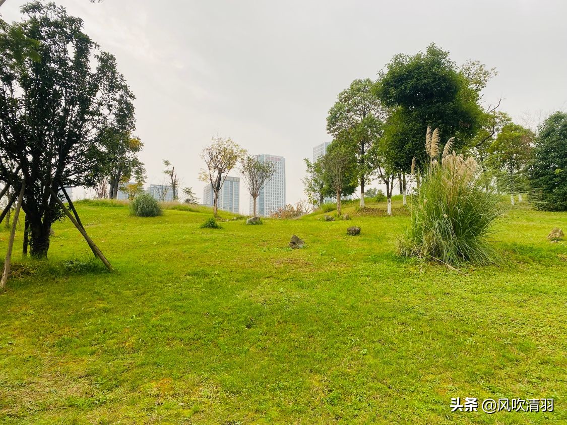 成都最差公园排名,成都主城区最大的公园