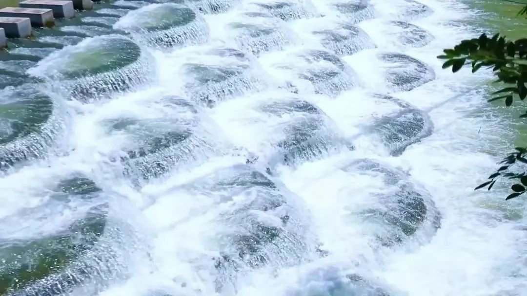 江浙沪附近避暑民宿,夏天莫干山性价比民宿推荐