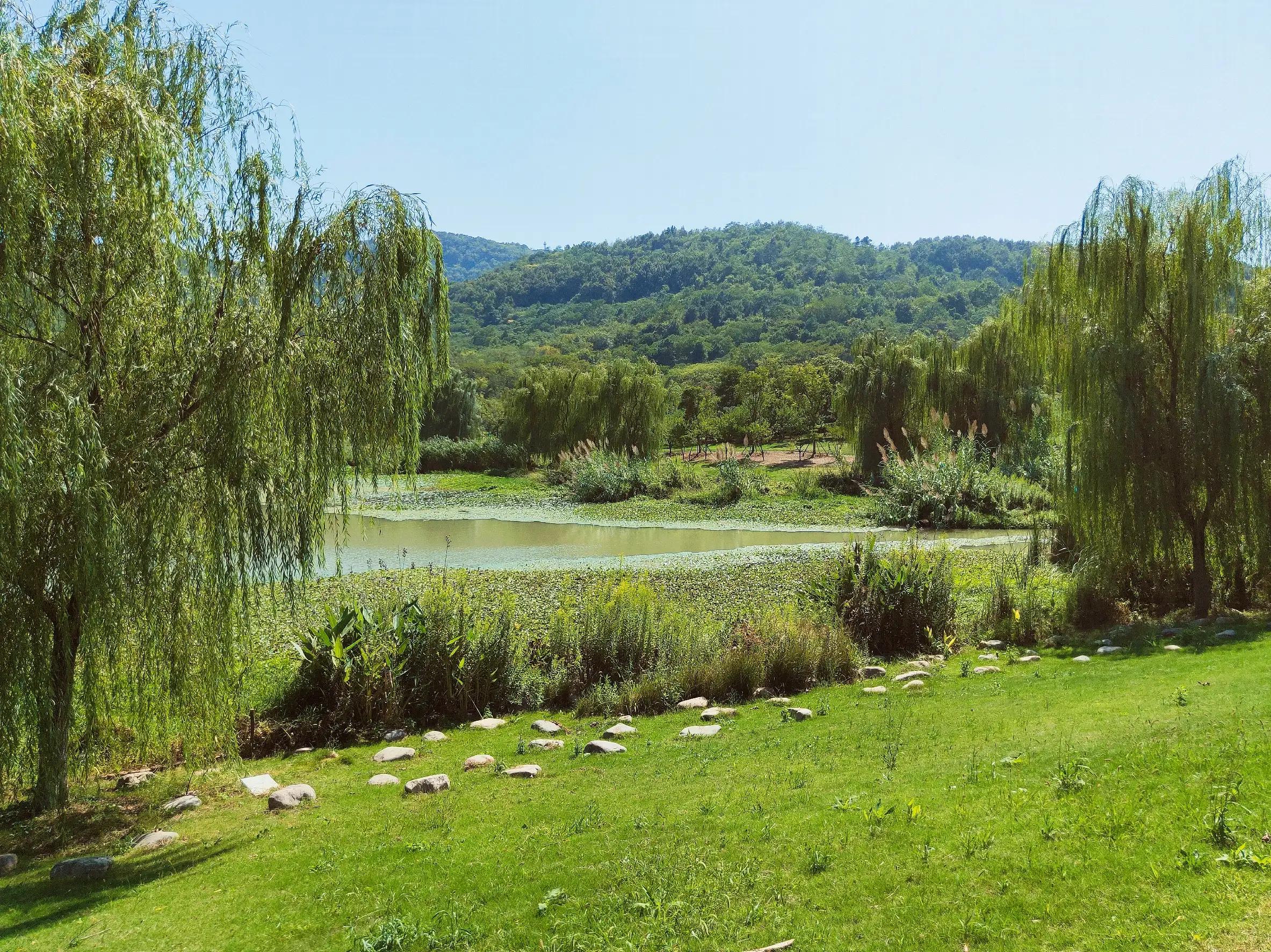 溧水无想山民宿预订,南京溧水无想山露营地点