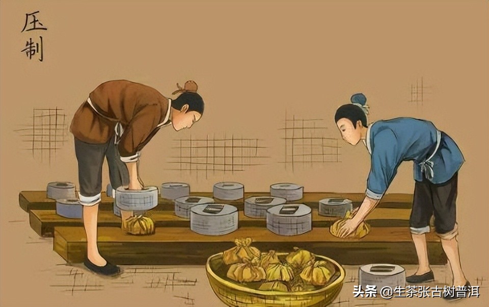 普洱茶八奇图片,普洱茶8代表什么意思