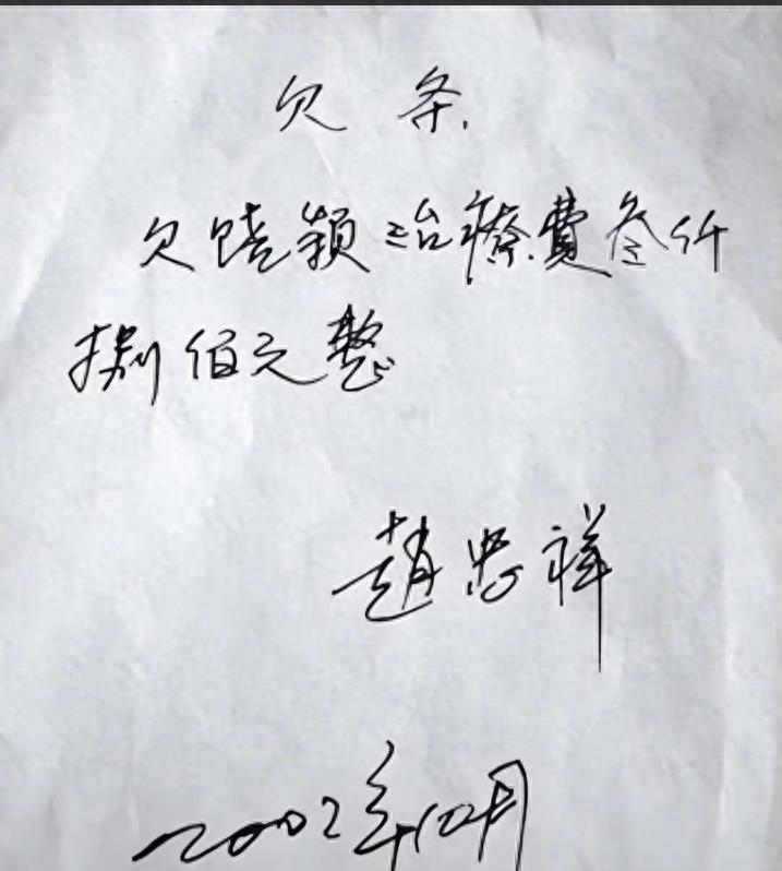 赵忠祥和饶颖的绯闻是真的吗,赵忠祥与饶颖的官司结果