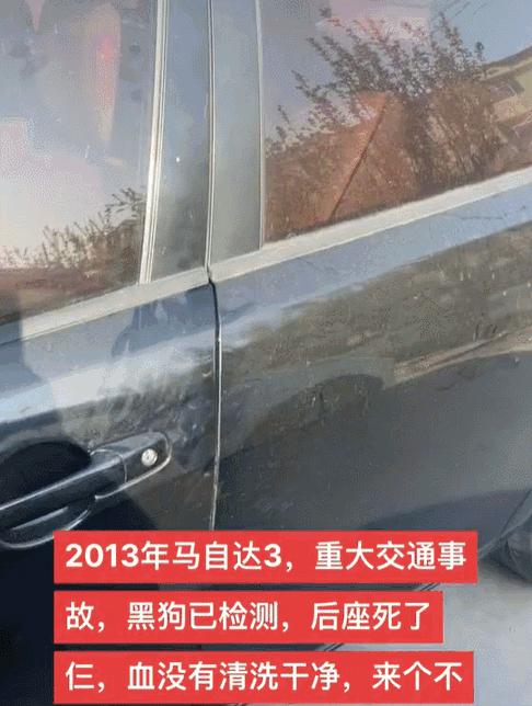 离谱！山东大哥专卖死人车：车有多凶，全看小*狗黑**上车坐哪？？
