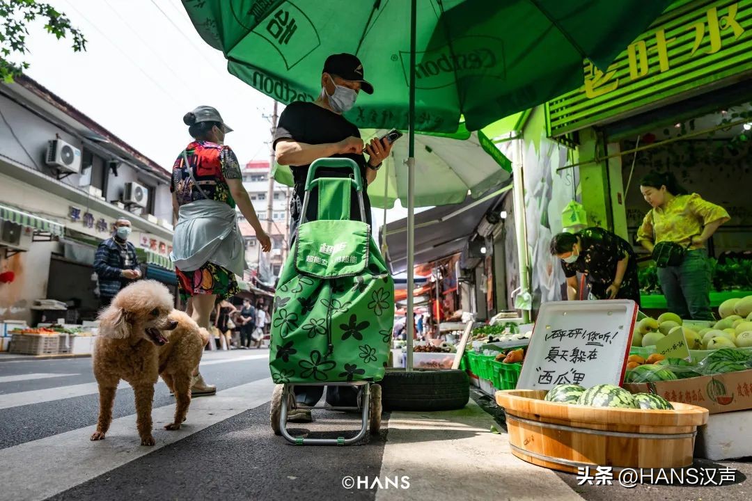 武汉一万朵栀子花,武汉人栀子花