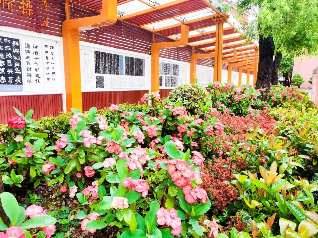 石碣镇四海学校招生电话,东莞石碣四海学校最新视频