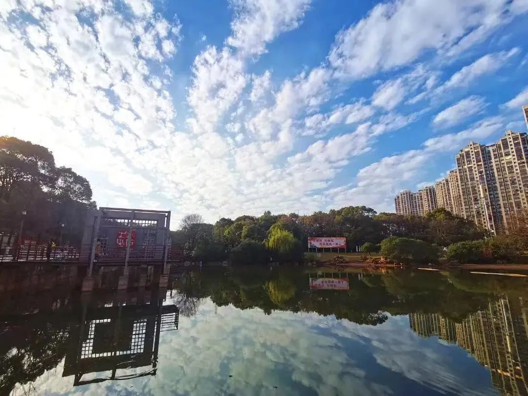 如果你要写新余，就不能只写新余