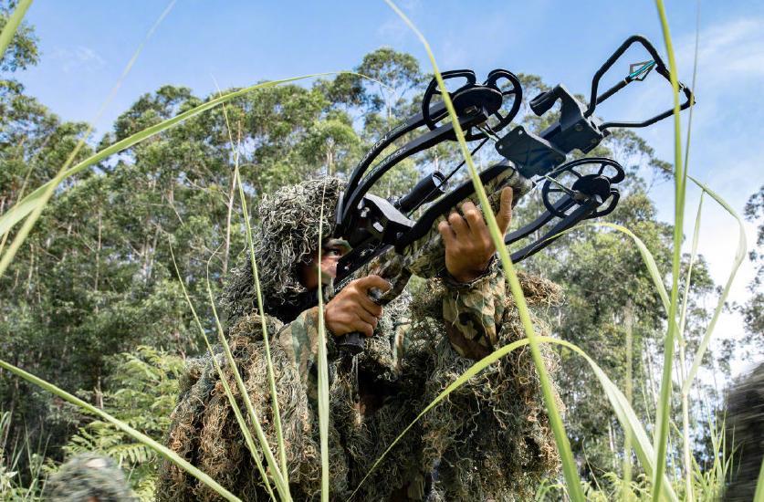 弓兵成本大还是骑兵成本大,现代特种兵弓弩