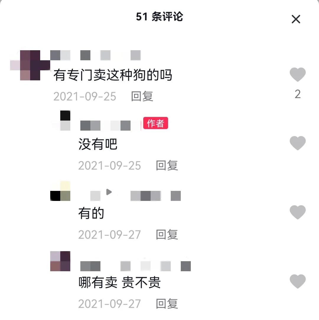 这样的阴间猫狗审美,早该翻车了