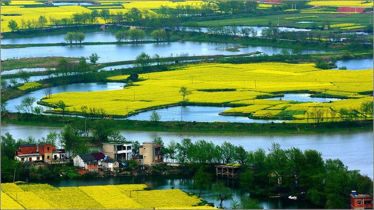 最新农村种田类小说,乡村乡土类种田文小说推荐