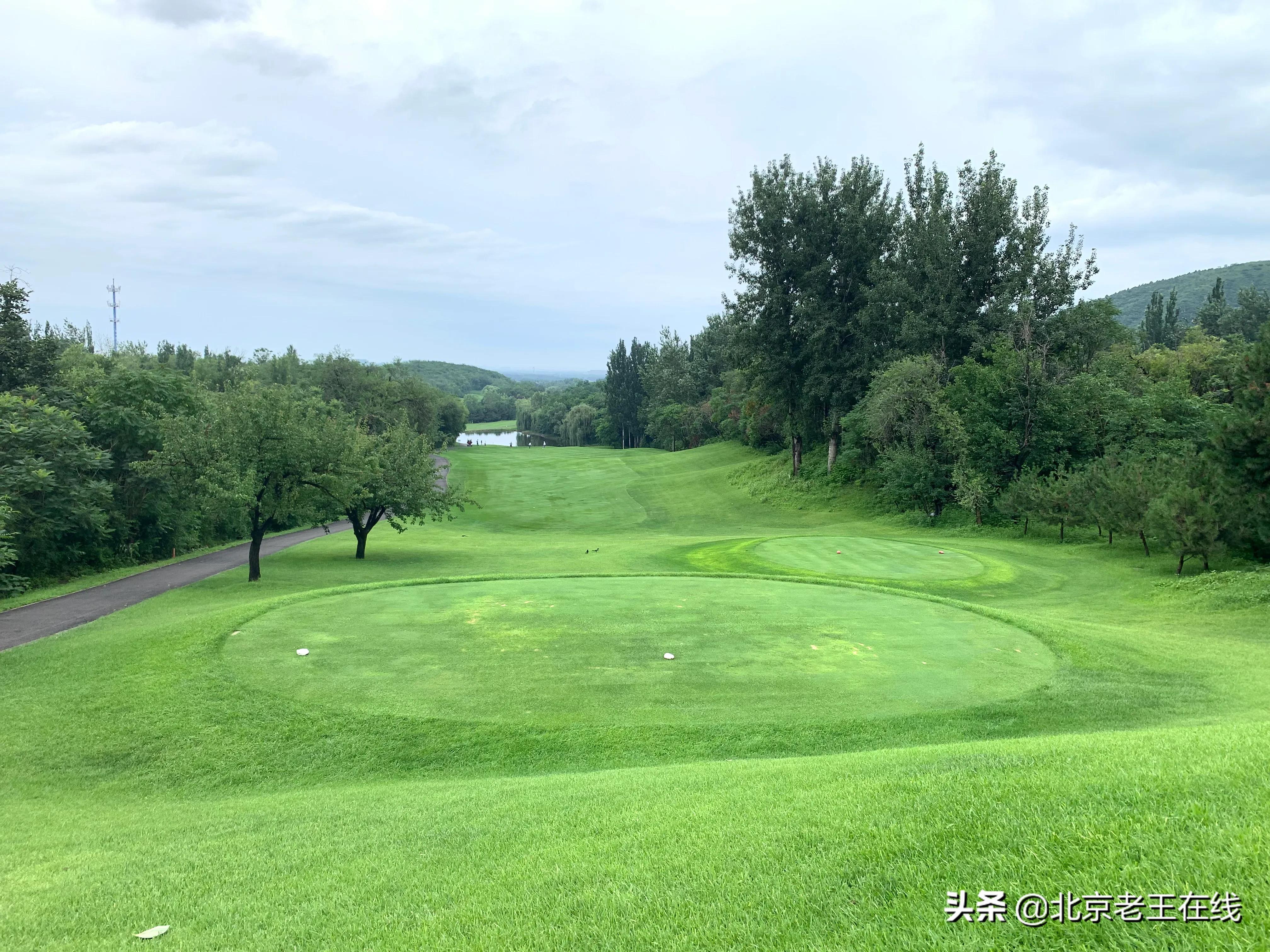 冒着夏日的炎热去打高尔夫球,退休老汉却越发有激情