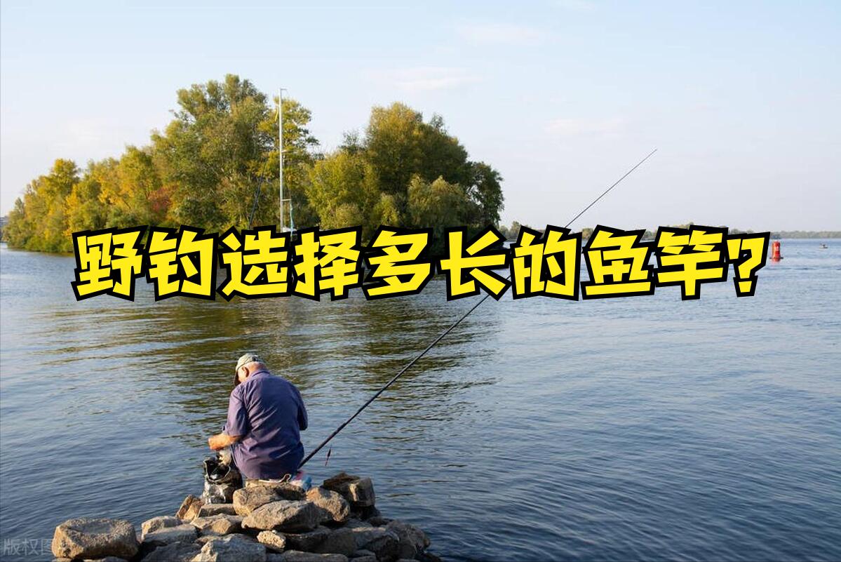 野钓7.2米用28调还是19调鱼竿好,4.5米鱼竿性价比推荐野钓100元左右