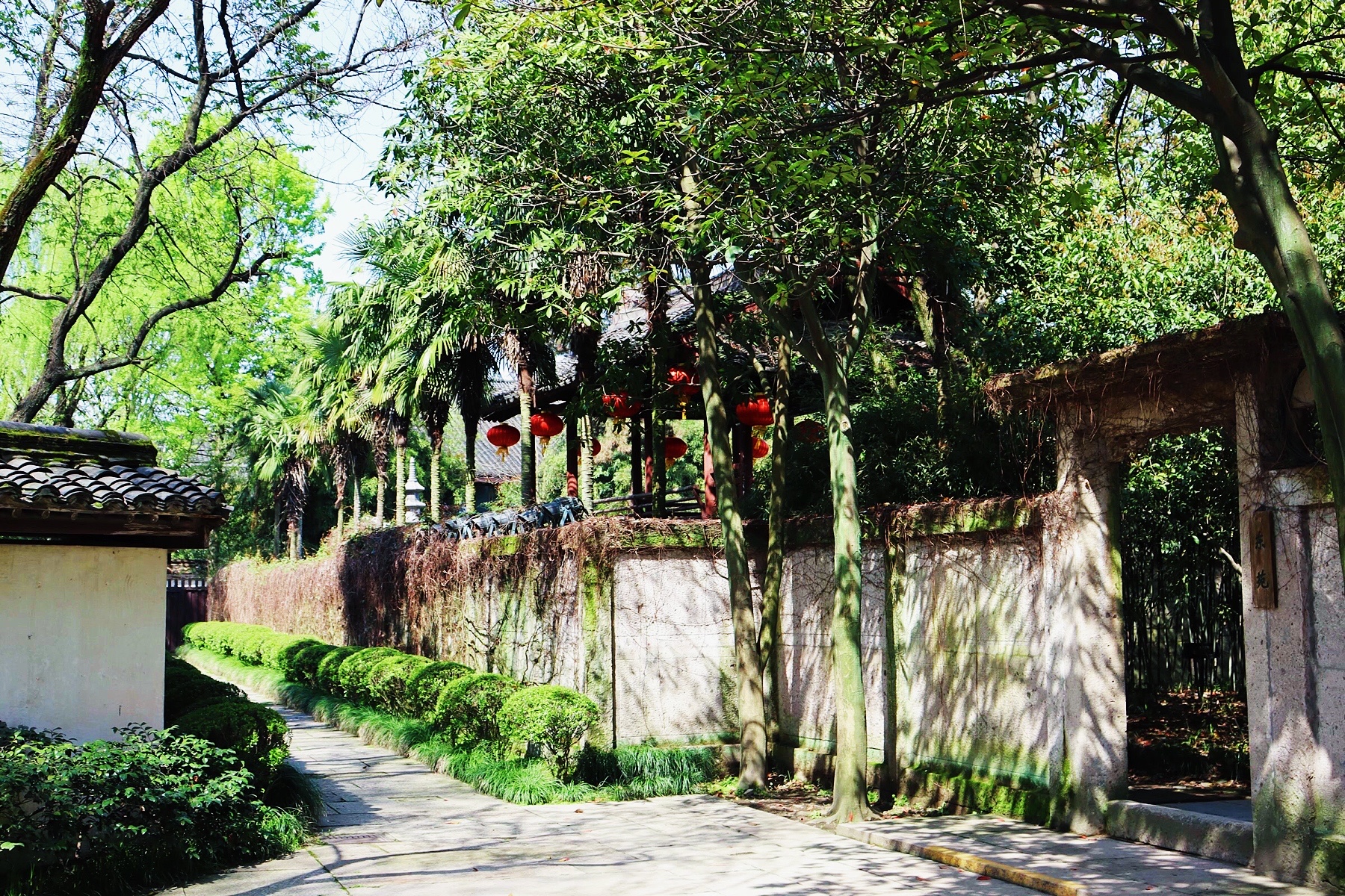 绍兴赏花一日游最佳去处,绍兴赏荷景区