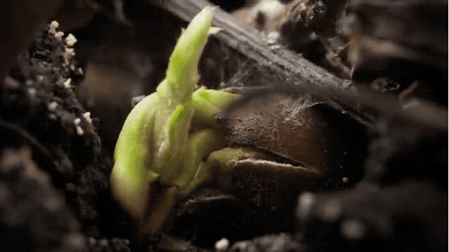 96岁还在奔波工作，这老爷子做出了今年9.8分神片