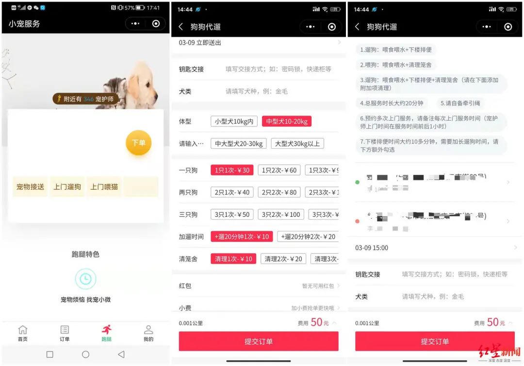 带薪撸猫月入过万,靠撸猫赚钱的小伙子视频