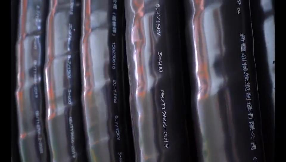 “一带一路”政策支持下,*疆新**胡杨线缆制造有限公司脱颖而出