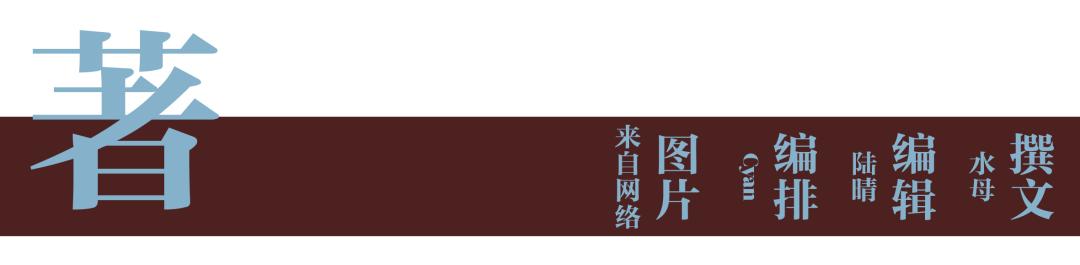 鱼露现代酿造,鱼露韩语怎么说