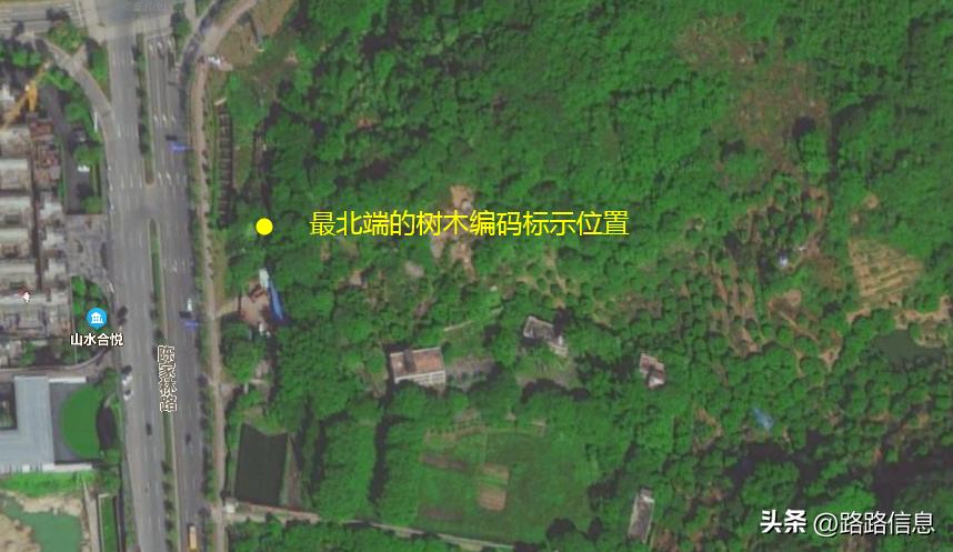 佛穗莞城际陈家林站,穗莞佛城轨陈家林站