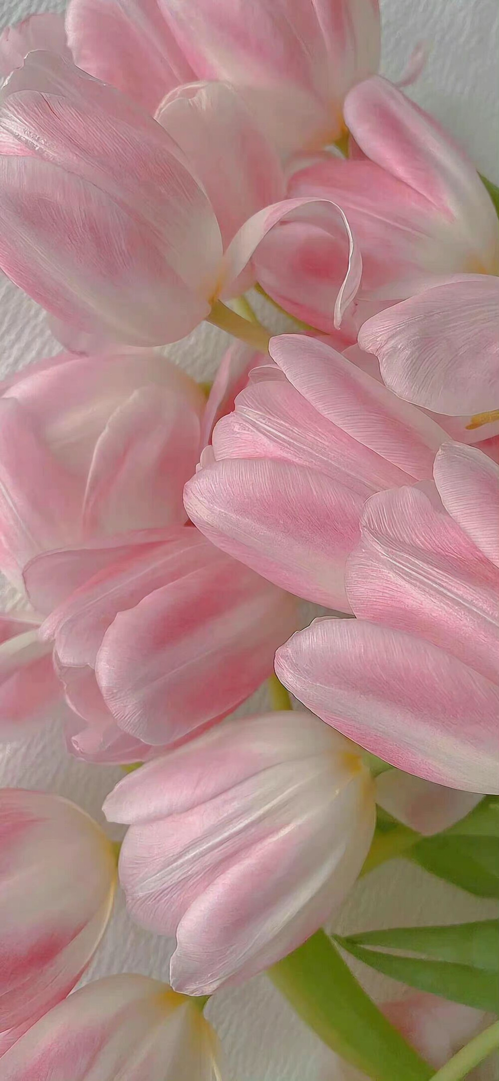 街角花店图片壁纸,花店壁纸图片大全