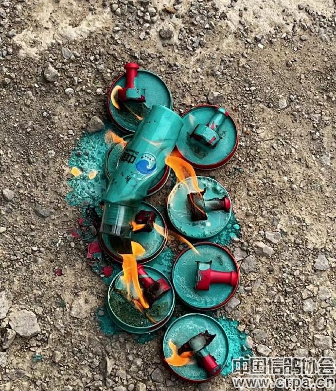 高分速高归巢！“世界杯”唐山阳光站第四关500公里比赛圆满收官