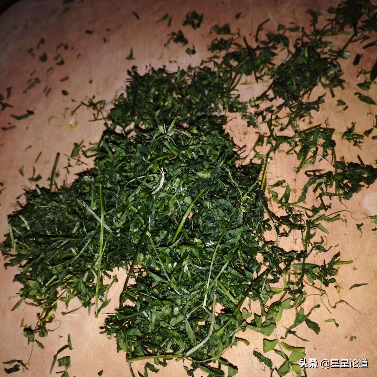 春尝野味菜当先*星星论道