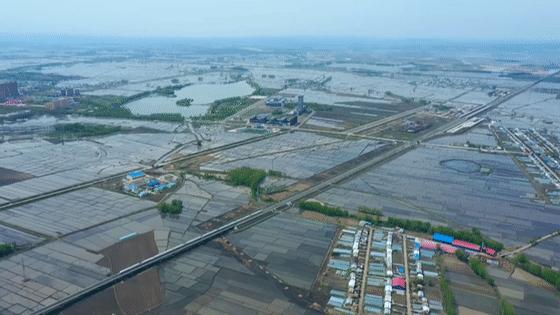 佳木斯德沃农机,黑龙江德沃农机地址