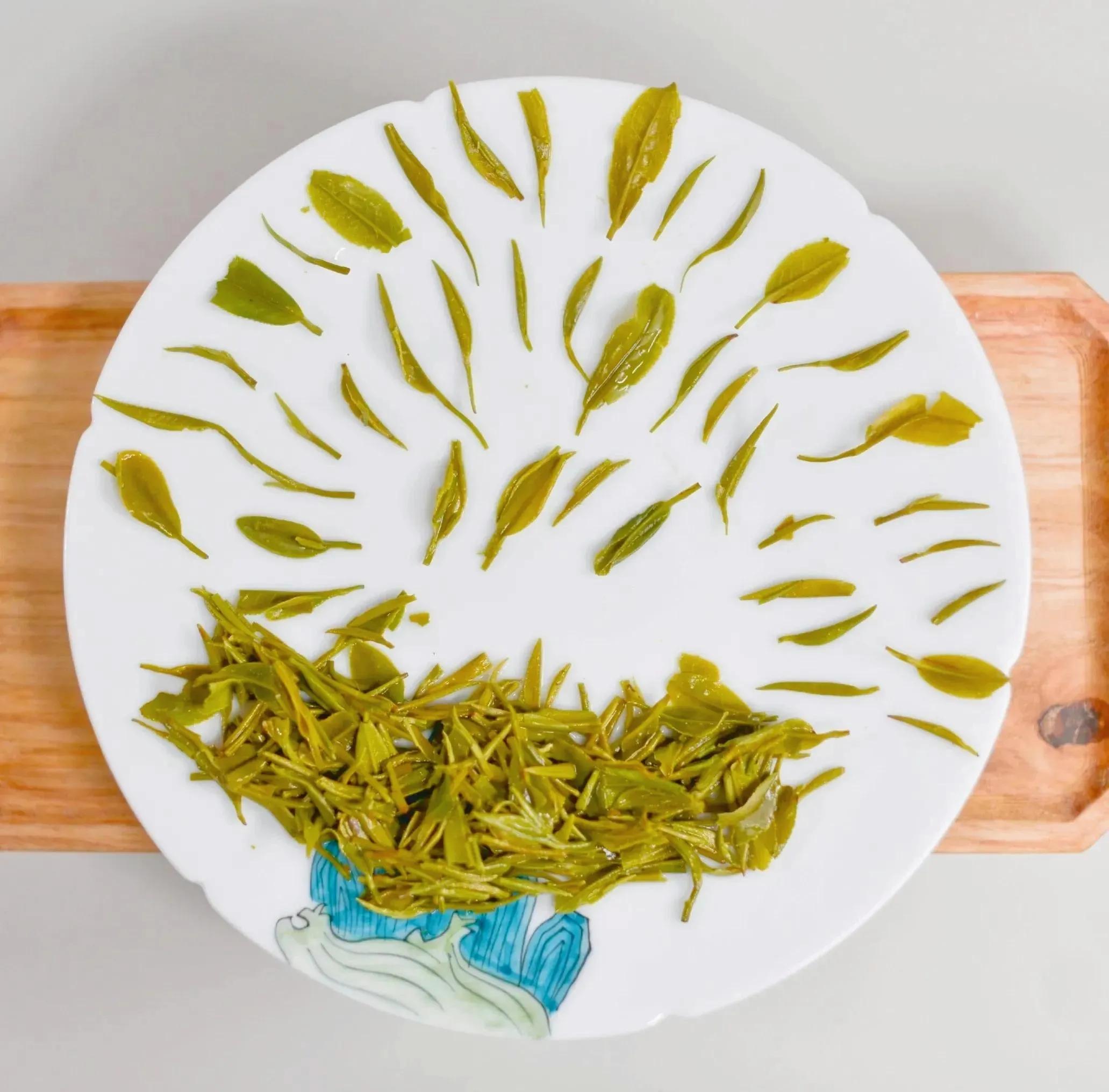 信阳毛尖茶和川茶,川茶和信阳毛尖的区别