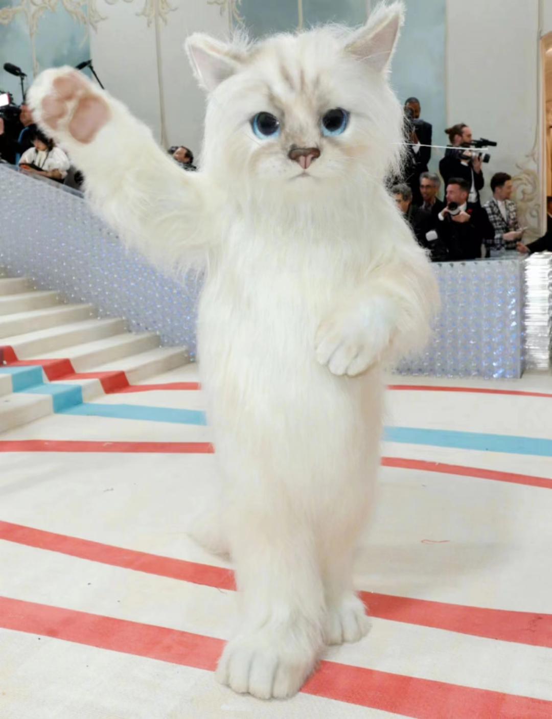 时尚界奥斯卡走秀,时尚界奥斯卡