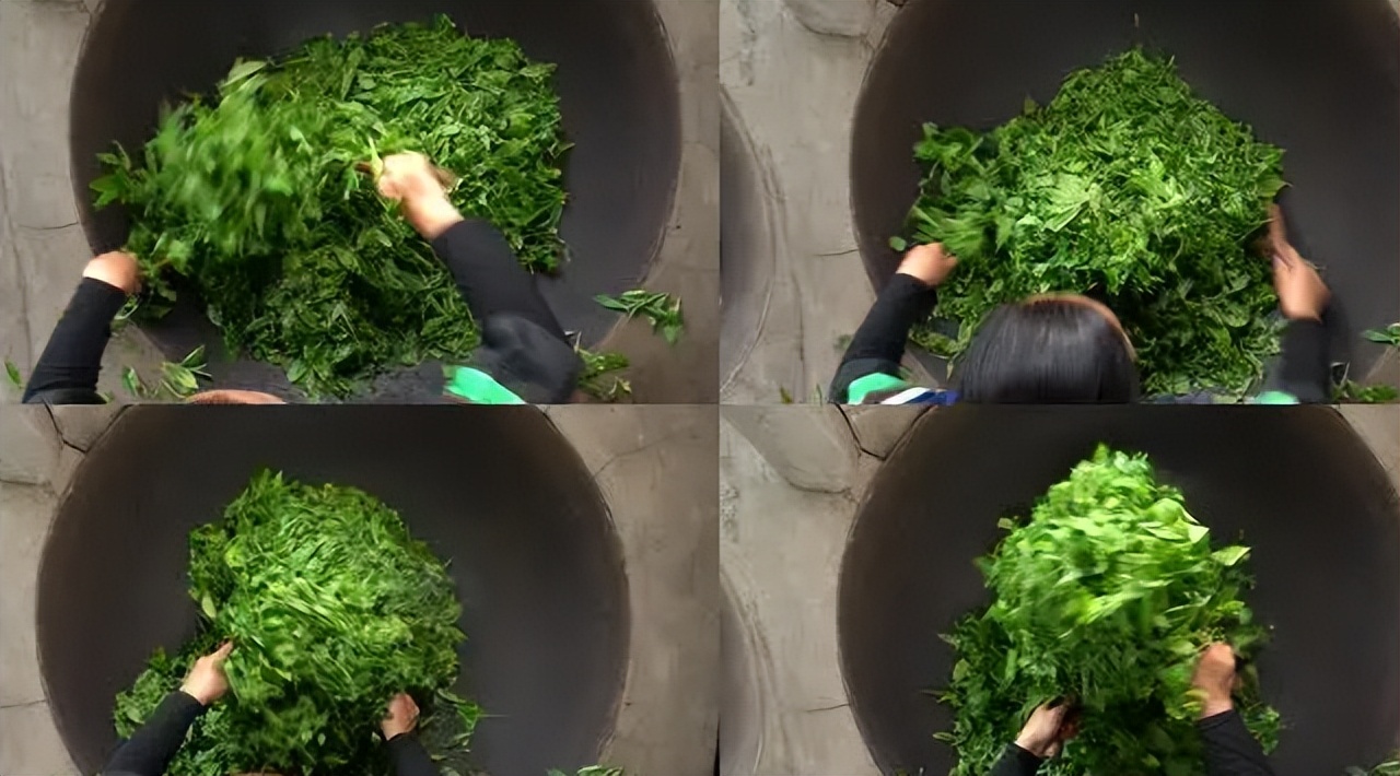 炒茶工艺传承现状,炒茶非遗技术有哪些特点