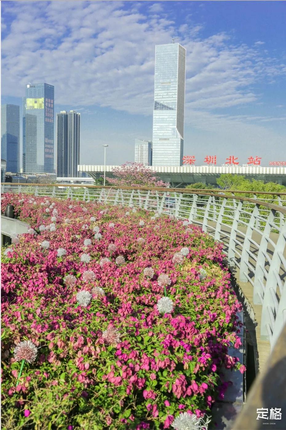 深圳户外公园最大滑滑梯,深圳滑滑梯免费南山公园附近