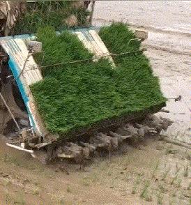 纹身为什么要三思而后行,颈部纹身三思而后行