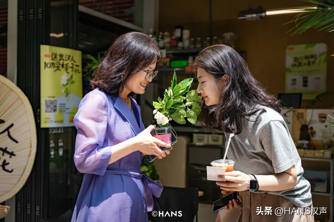 武汉一万朵栀子花,武汉人栀子花