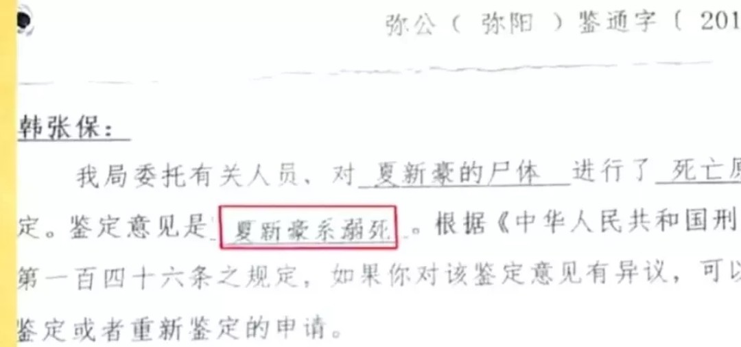 烈性犬不牵绳,未牵绳犬撕咬受伤狗主人