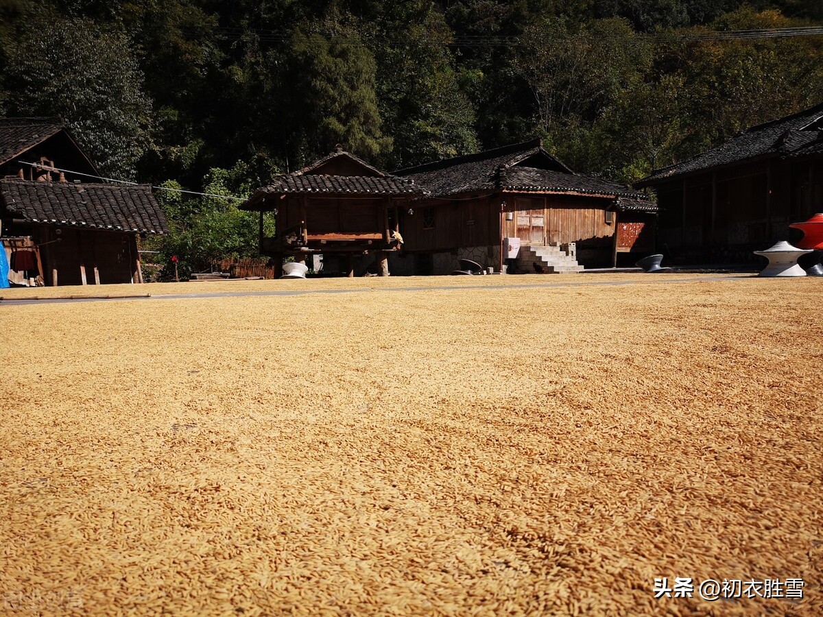 描写农历十月的优美古诗词,赞美金秋十月的古诗