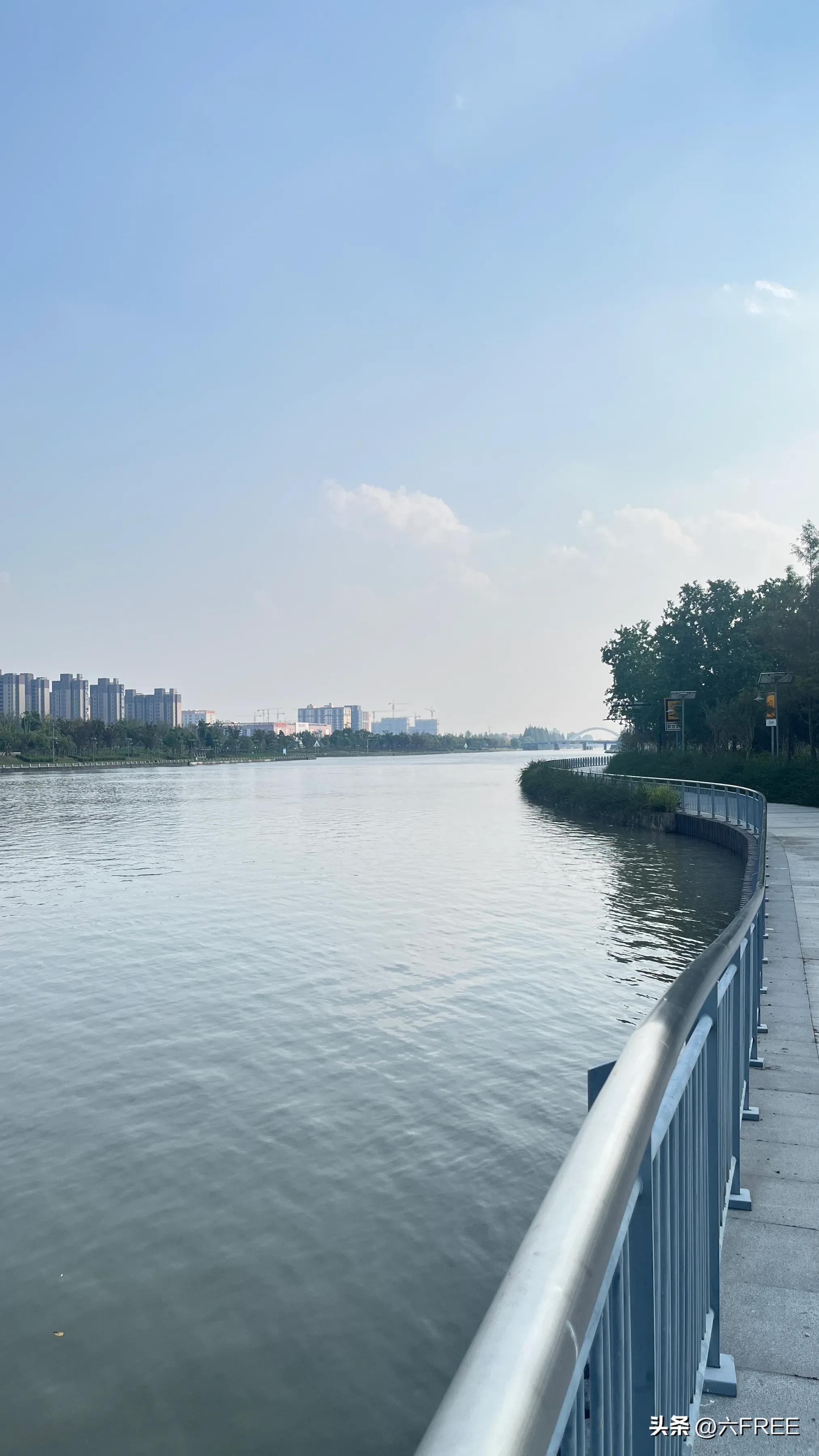 上海之鱼好玩不,上海之鱼公园游玩攻略