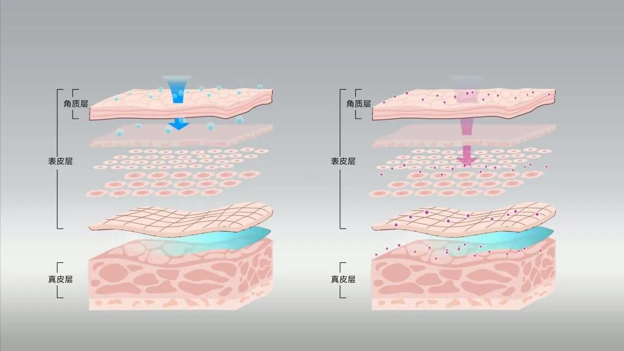 保湿护肤到底有多重要,故事情节护肤品
