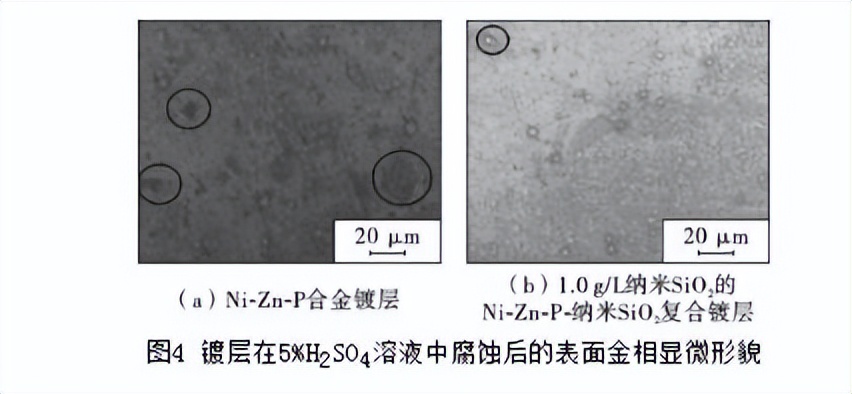 钨酸钠对Ti－Ni合金Ni－W－P化学镀层组织性能的影响