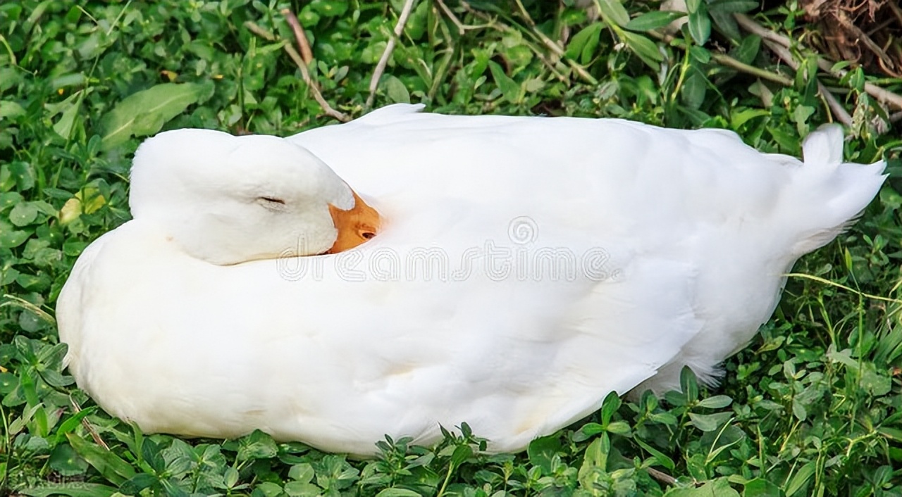 一上班就想睡觉怎么办,一上课就睡觉怎么回事