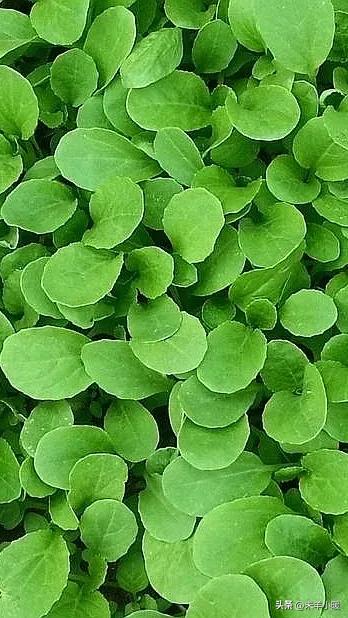 超清超美独一无二手机壁纸图片,养眼养心的壁纸