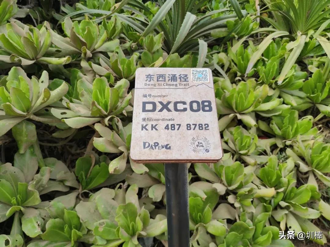 东西涌海岸线徒步从哪里进去,深圳东西涌海岸线徒步要门票吗