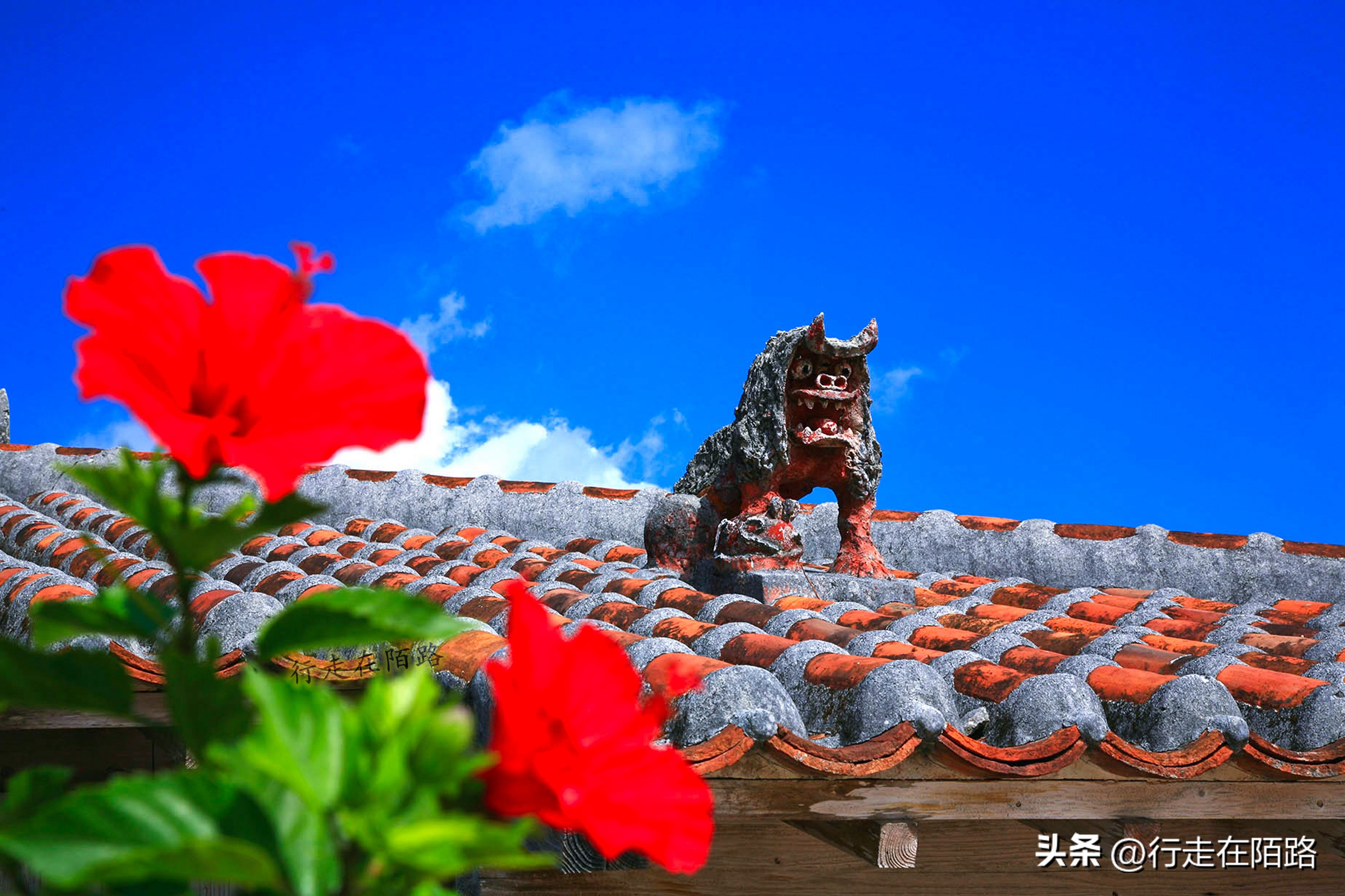 琉球竹富岛：红瓦屋顶石狮镇宅，小葱豆腐长命百岁