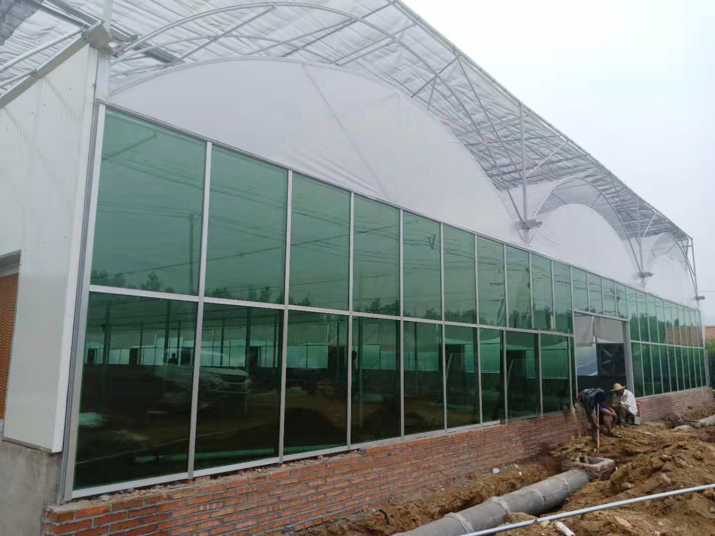 简易薄膜连栋温室大棚建造全过程,连栋薄膜温室大棚建造教程