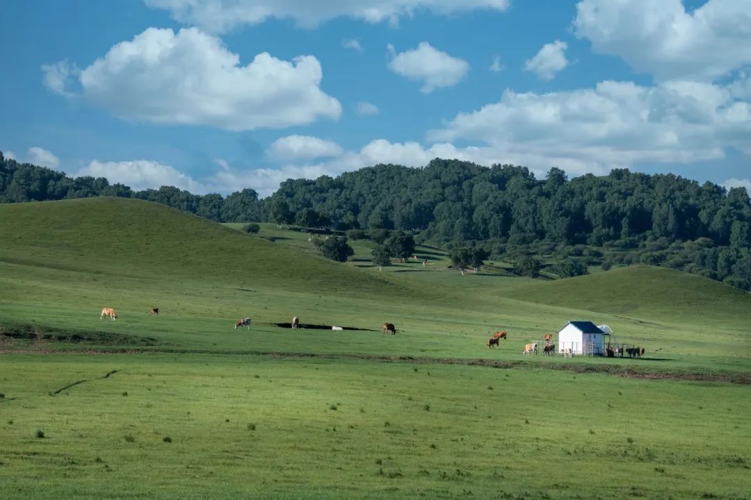 离北京最近的草原避暑胜地,华北夏季避暑好去处