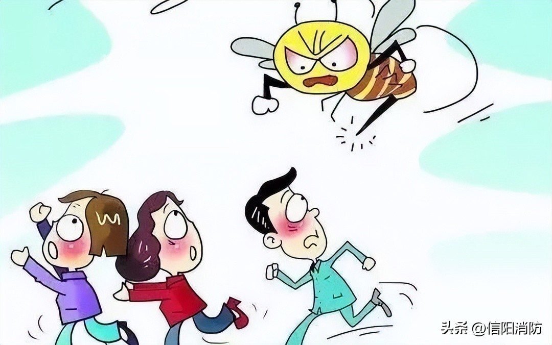 夏季到来当心蛇出没,夏季提防虫子