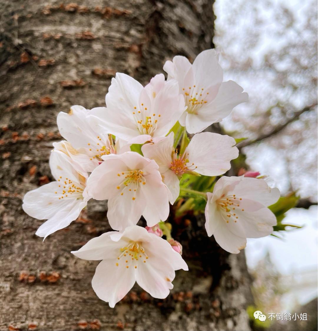 报了培训班要求退款的最好办法,培训机构没上完的课可以退款吗